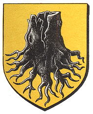 Blason de Holtzheim/Arms of Holtzheim