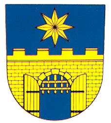 Arms of Divišov