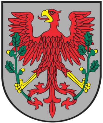 Arms of Choszczno