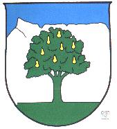 Wappen von Wals-Siezenheim/Arms of Wals-Siezenheim