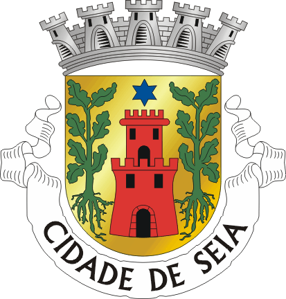 Brasão de Seia (city)