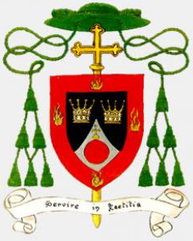 Arms of Vincent Valentine Ezeonyia