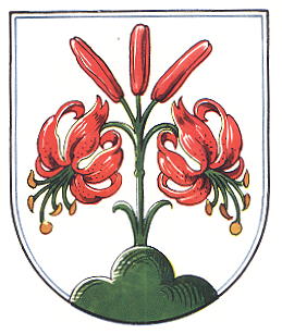 Wappen von Erbsen / Arms of Erbsen