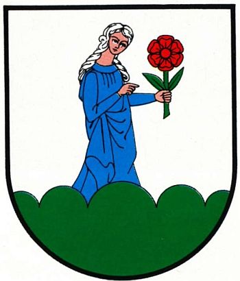 Arms of Susz
