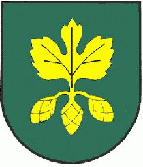 Wappen von Hopfgarten in Defereggen/Arms of Hopfgarten in Defereggen