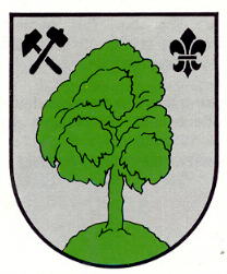 Wappen von Frankenholz