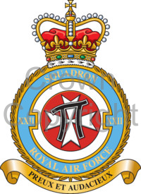 Coat of arms (crest) of the No 22 Squadron, Royal Air Force