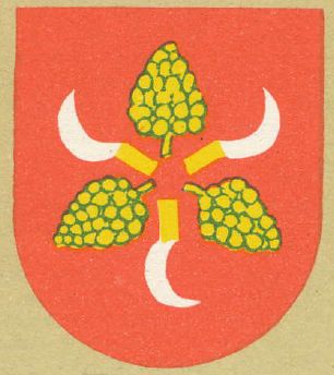 Arms of Głogówek