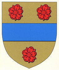 Blason de Echinghen/Arms of Echinghen
