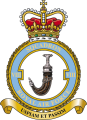 No 8 Squadron, Royal Air Force.png