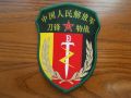 Blade Special Forces, People's Liberation Army Ground Force.jpg