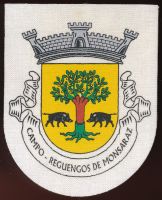 Brasão de Campo/Arms (crest) of Campo