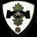 130th Amphibious Pioneer Battalion, German Army.png