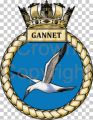 HMS Gannet.jpg