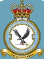 No 2 Force Protection Wing, Royal Air Force1.jpg