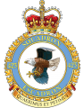 No 423 Squadron, Royal Canadian Air Force.png
