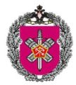 90th Separate Special Search Battalion, Russian Army.jpg