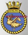 HMS Gosling, Royal Navy2.jpg