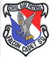 Falcon Cadet Squadron, Civil Air Patrol.jpg