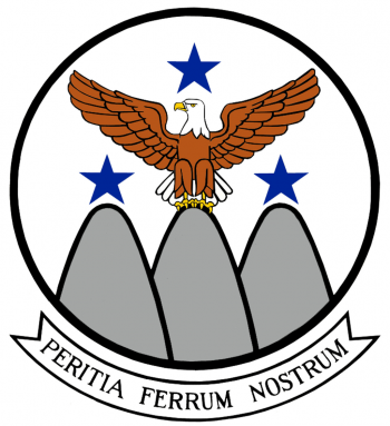 Coat of arms (crest) of the 307th Aircraft Maintenance Squadron, US Air Force