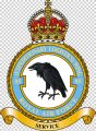 No 85 Expeditionary Logistics Wing, Royal Air Force1.jpg