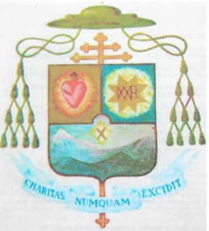 Arms of Martín Tritschler y Córdoba