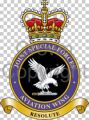 Joint Special Forces Aviation Wing, United Kingdom.jpg
