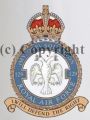 No 129 (Mysore) Squadron, Royal Air Force.jpg