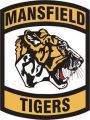 Mansfield High School (Texas) Junior Reserve Officer Training Corps, US Army.jpg