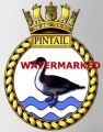 HMS Pintail, Royal Navy.jpg