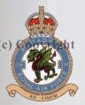 No 238 Squadron, Royal Air Force.jpg