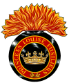 The Princess Louise Fusiliers, Canadian Army.png