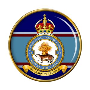 No 41 Service Flying Training School, Royal Air Force.jpg