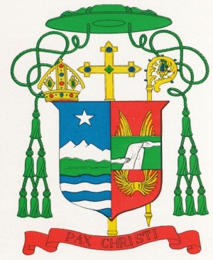 Arms of Martin Michael Johnson