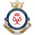No 608 (Duke of Edinburgh) Squadron, Royal Air Cadets.jpg