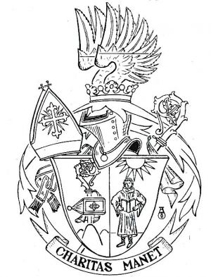 Arms of Amand Oppitz