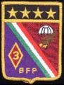 3rd Parachute Fusiliers Battalion, Mexican Air Force.jpg