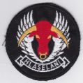 No 16 Squadron, South African Air Force.jpg