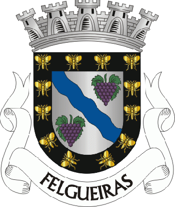 Brasão de Felgueiras/Arms (crest) of Felgueiras