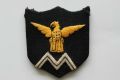 6th Mountain Division, Indian Army.jpg