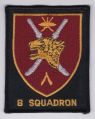No 8 Squadron, Royal Air Force of Oman.jpg