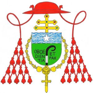 Arms of Francisco Álvarez Martínez