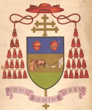 Arms of Santiago Luis Copello