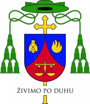 Arms of Andrej Saje