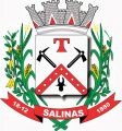 Salinas (Minas Gerais).jpg