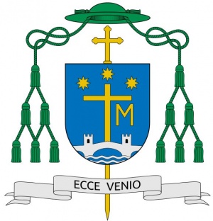 Arms of Demetrio Fernández González