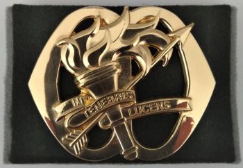 Beret Badge of the Information and Security Corps Princess Alexia, Netherlands Army