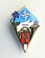 SFOR Element of the 13th Alpine Chasseurs Battalion, French Army.jpg