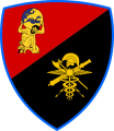 Logistic Support Command, Italian Army.png