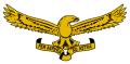 South African Air Force.png